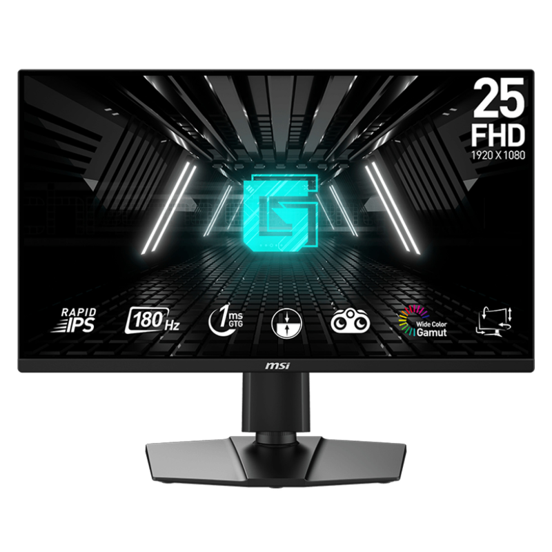  مانیتور ام اس آی مدل G255PF E2 سایز 24.5 اینچ 